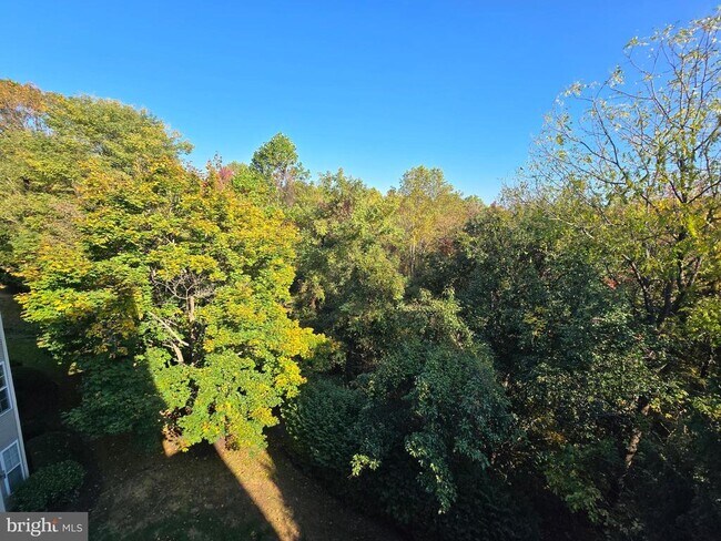 Building Photo - 18715 Sparkling Water Dr