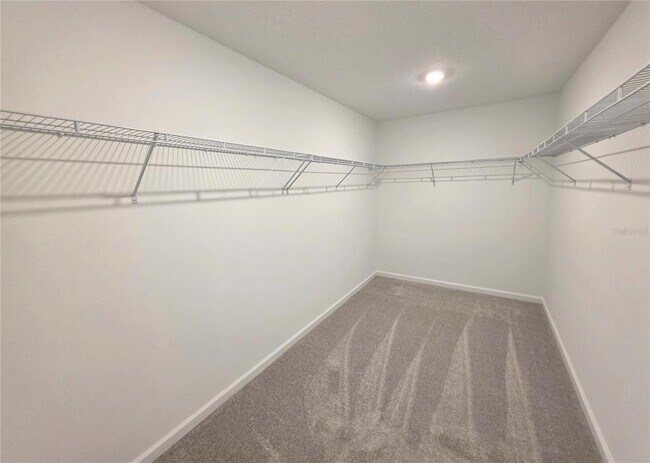 Building Photo - 5126 Magnolia Palm Dr