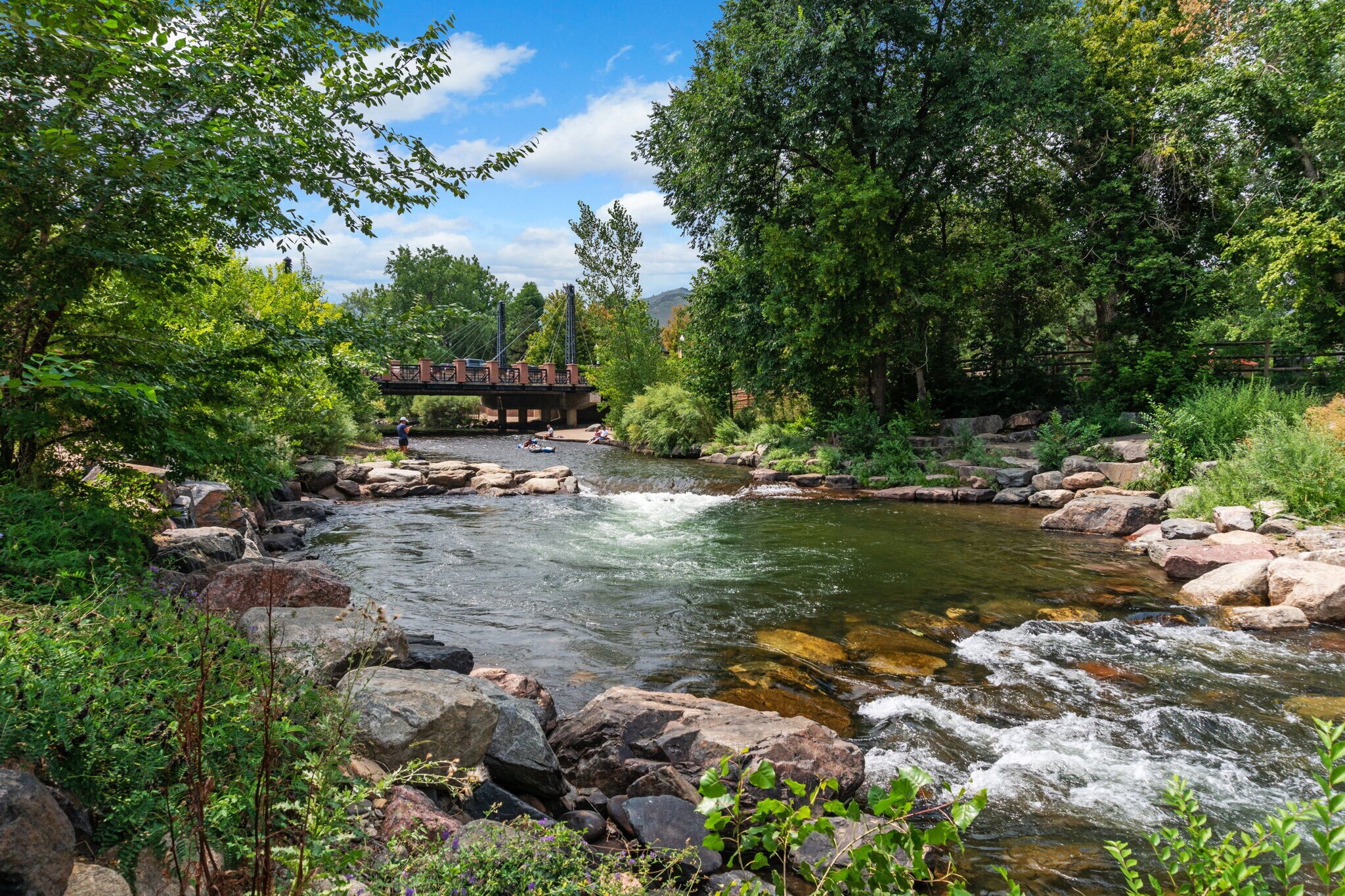 Building Photo - 1112 Miller Pl