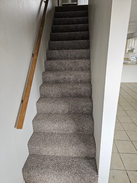 Brand NEW CARPET - 2329 Sambrano Ave