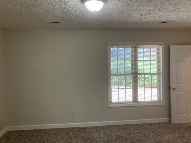 Master Bedroom - 1101 Pine Run Dr