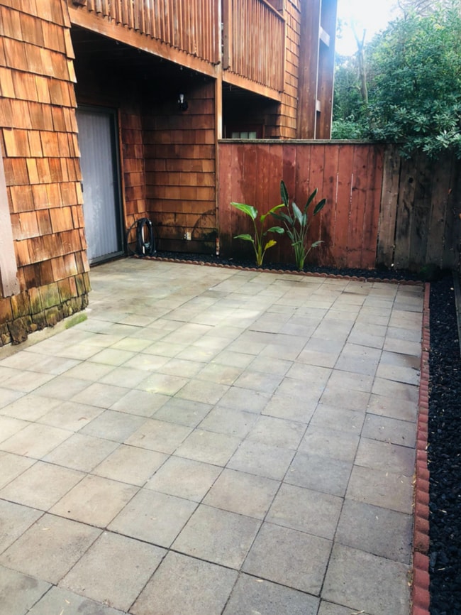 Backyard - 1455 Latour Ln