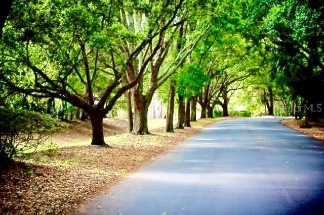 Building Photo - 233 Crown Oaks Way