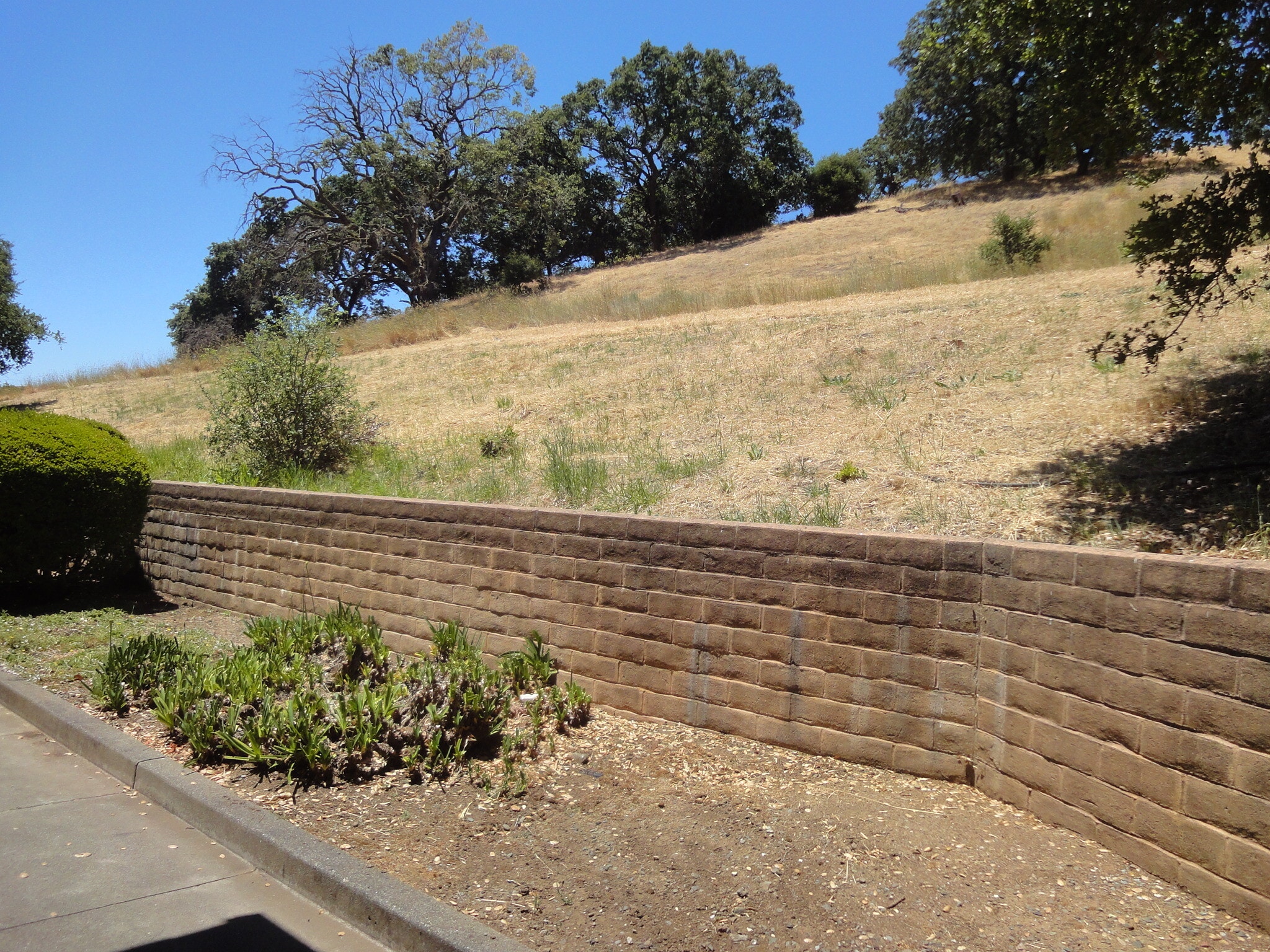 Hill at back - 13B Oliva Dr