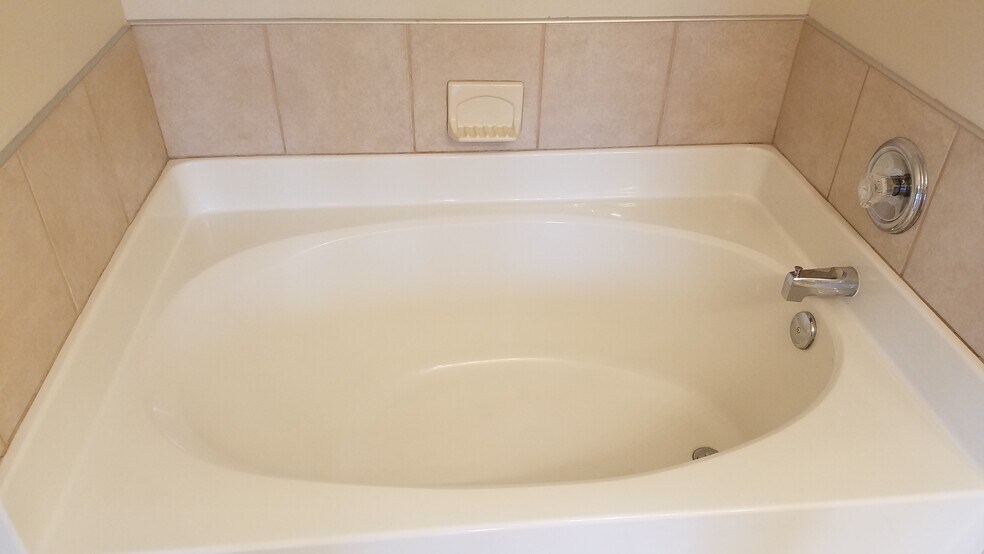 garden tub master - 618 Spence Enclave Way