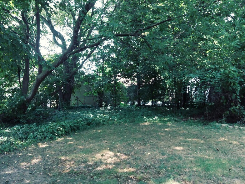 wooded backyard - 311 Plymouth Ave NE