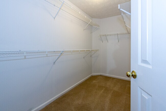 Building Photo - 5485 Forest Falls Dr