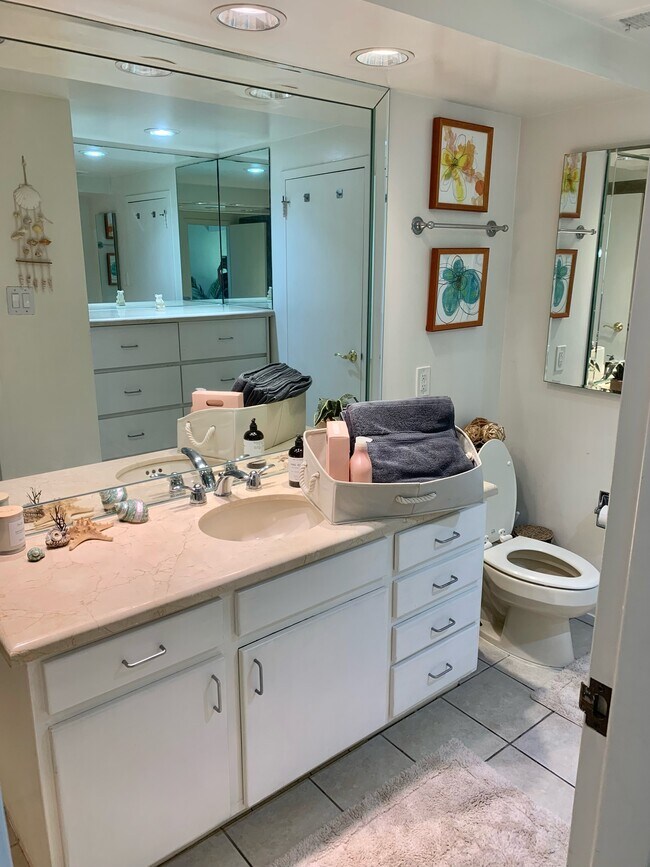 Bathroom - 4337 Marina City Dr