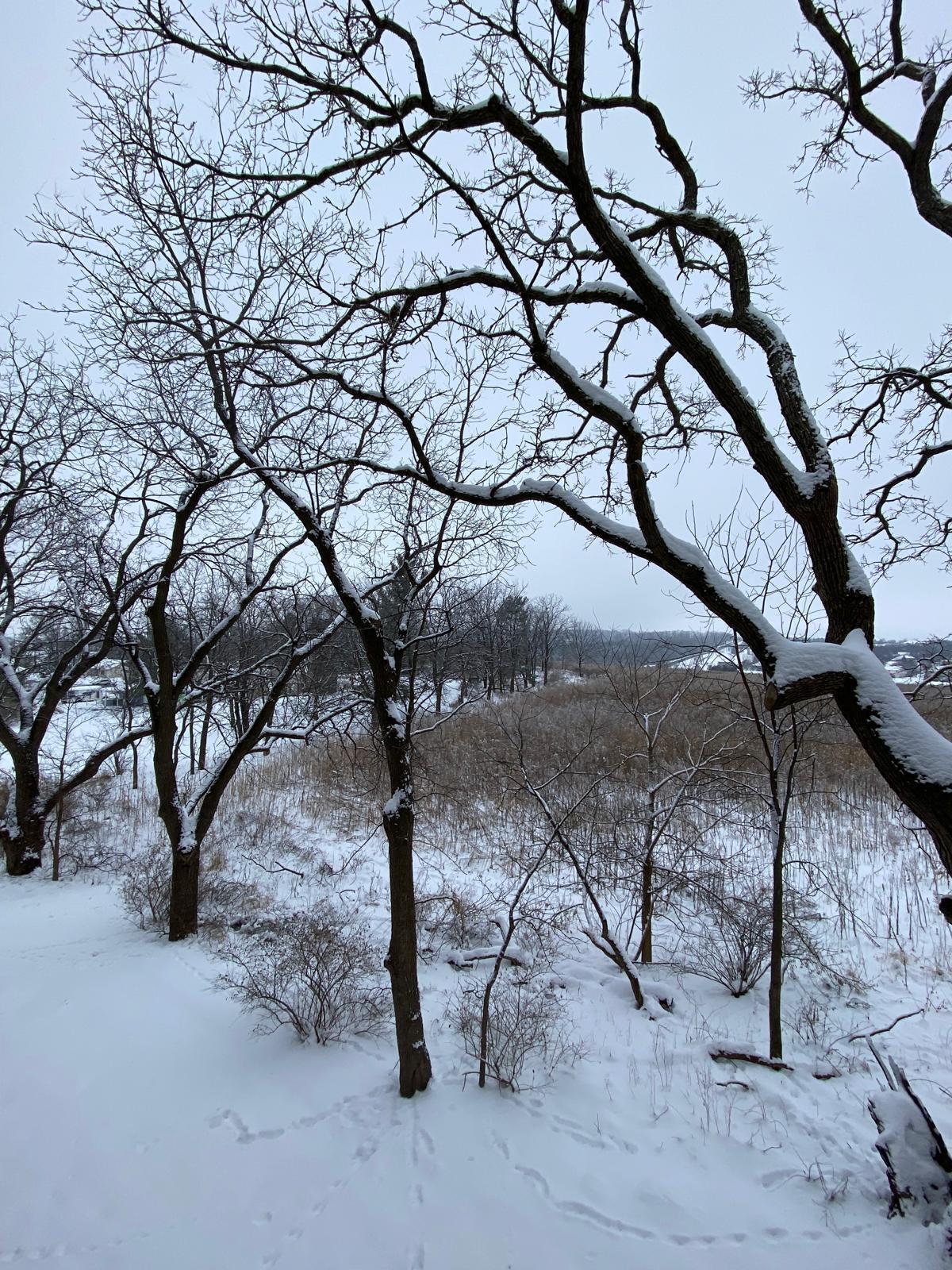 Building Photo - 8253 Mayo Dr