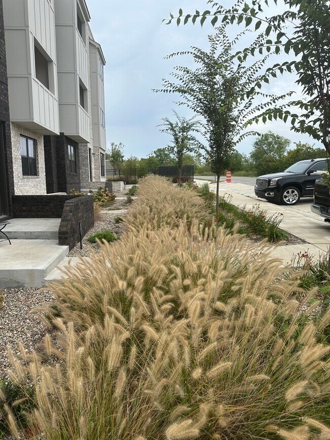 Building Photo - 704 Inspiration Blvd