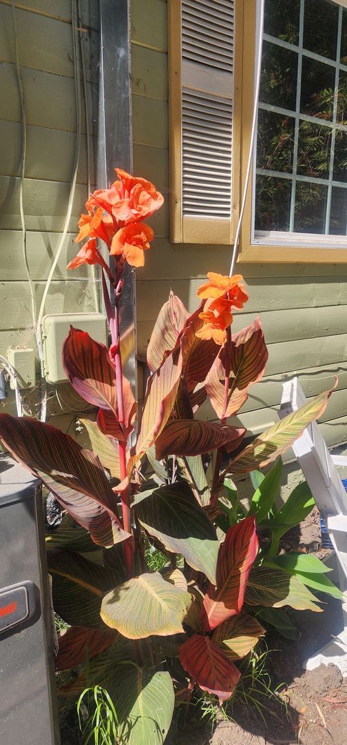 Building Photo - SLO Tropical Private Bungalow ideally located close to Cal Poly!