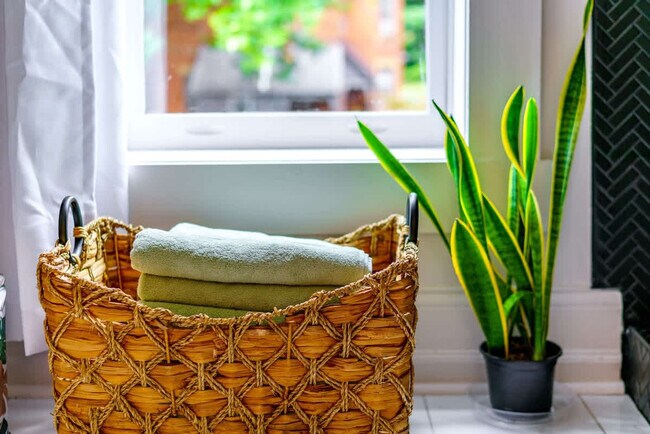 Building Photo - 98 Brickel St