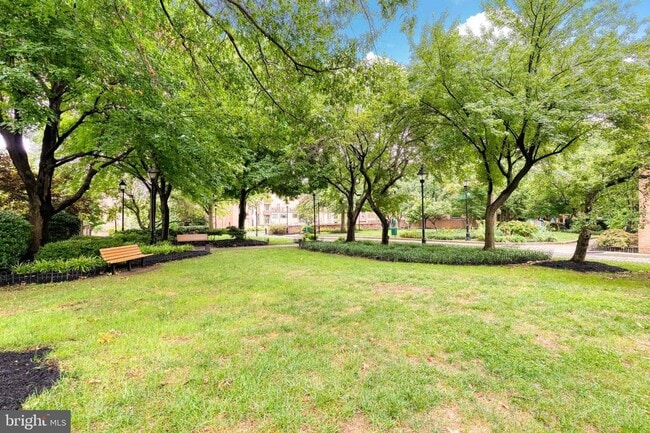 Building Photo - 2 Bed/2 Bath Patio Level Condo in Otterbei...