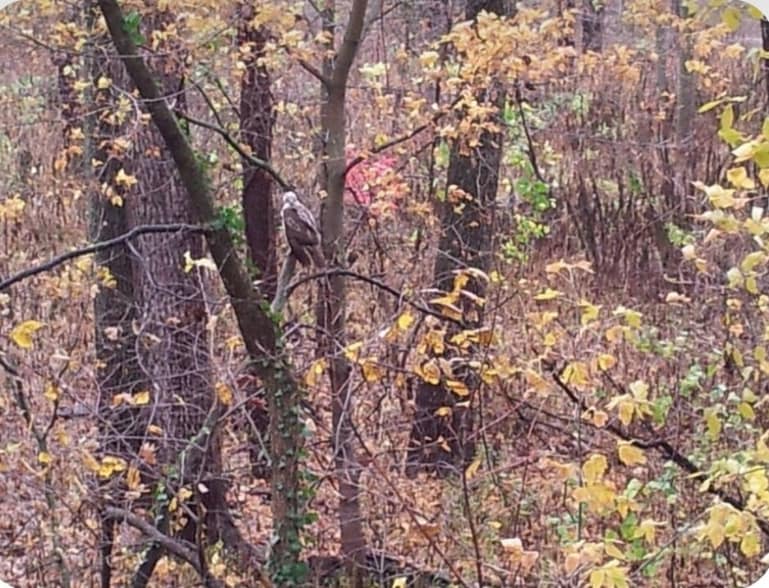 Building Photo - 892 N State Rd 149