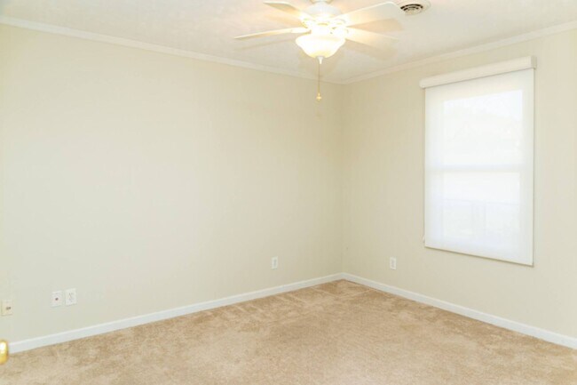 Building Photo - PET FRIENDLY!!!!!!
