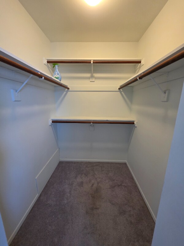 Building Photo - 3528 Laurel Ave