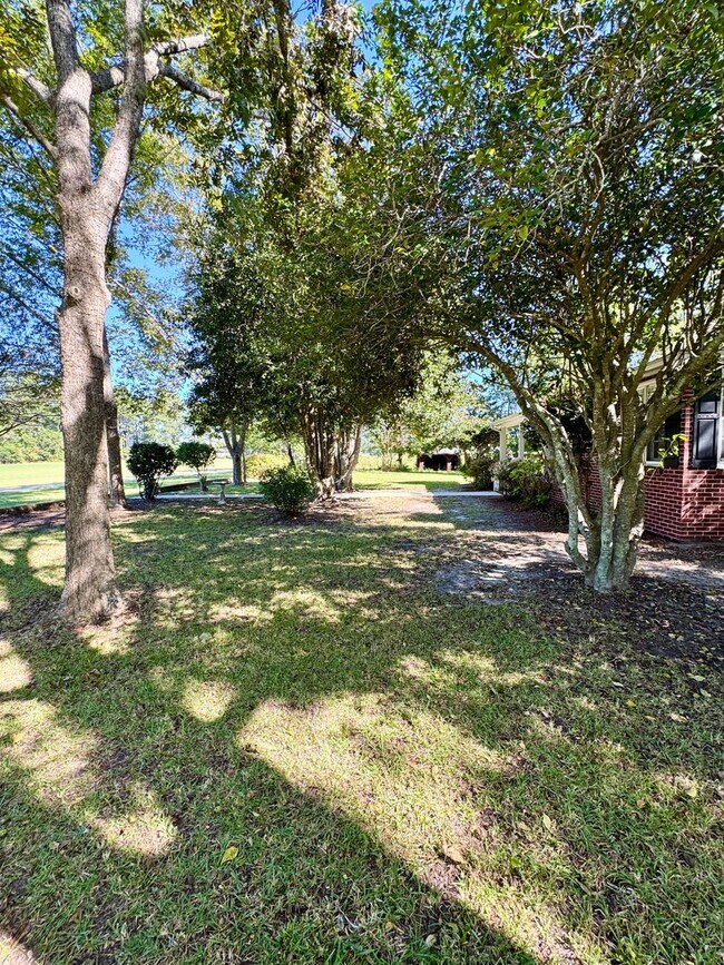 Building Photo - Beautiful home surrounded by nature & beauty!