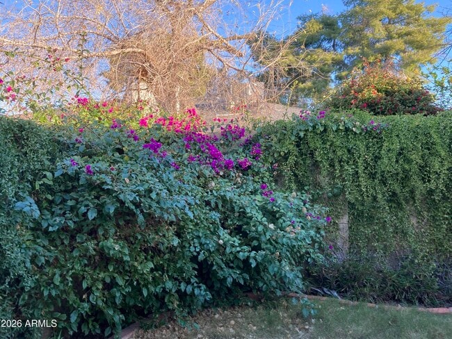 Building Photo - 314 E Campo Bello Dr