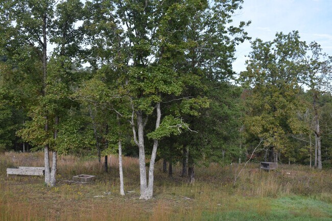 Building Photo - Beautiful 3 Bedroom, 2 Bathroom Home On Mi...