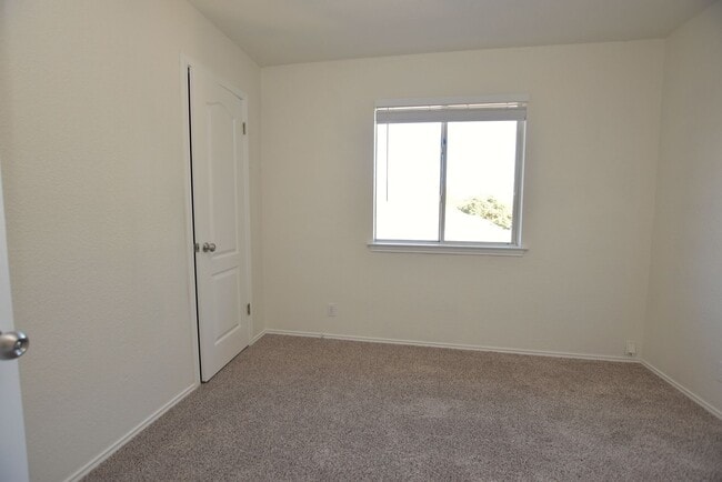 Building Photo - 4BR Cat Hollow Rental | Fenced Yard | Round Rock ISD