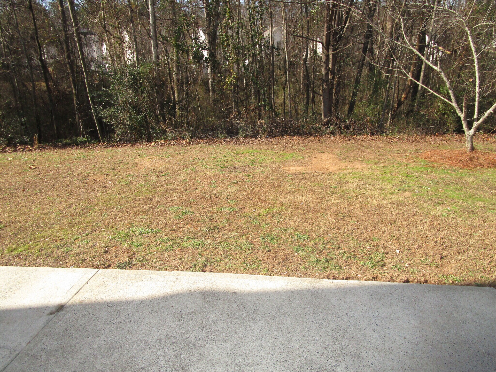 Building Photo - 2325 Carlysle Cove Dr
