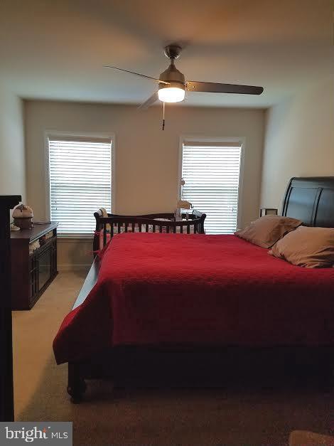 Building Photo - 20 Sandy Ln