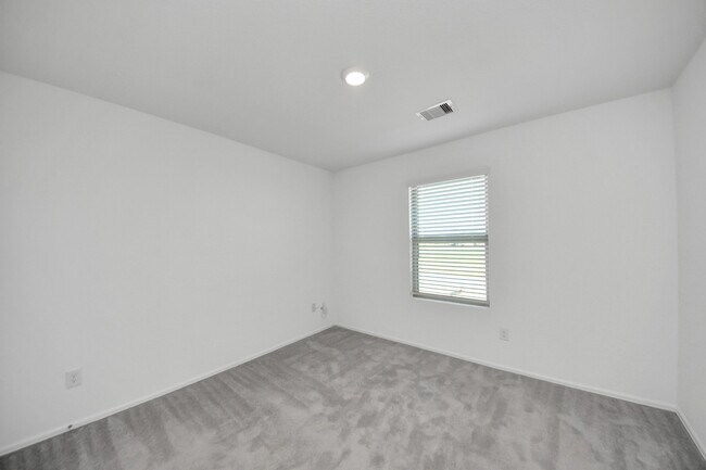 Building Photo - 4307 Palmetto Grv Ln