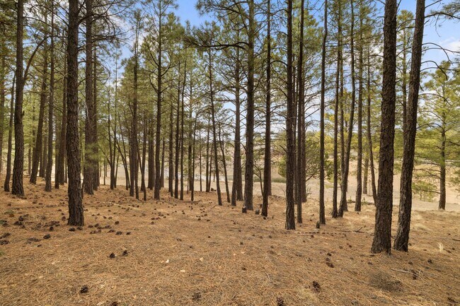 Building Photo - One of the Best Rental Opportunities In All of Flagstaff located in Lakeside Acres