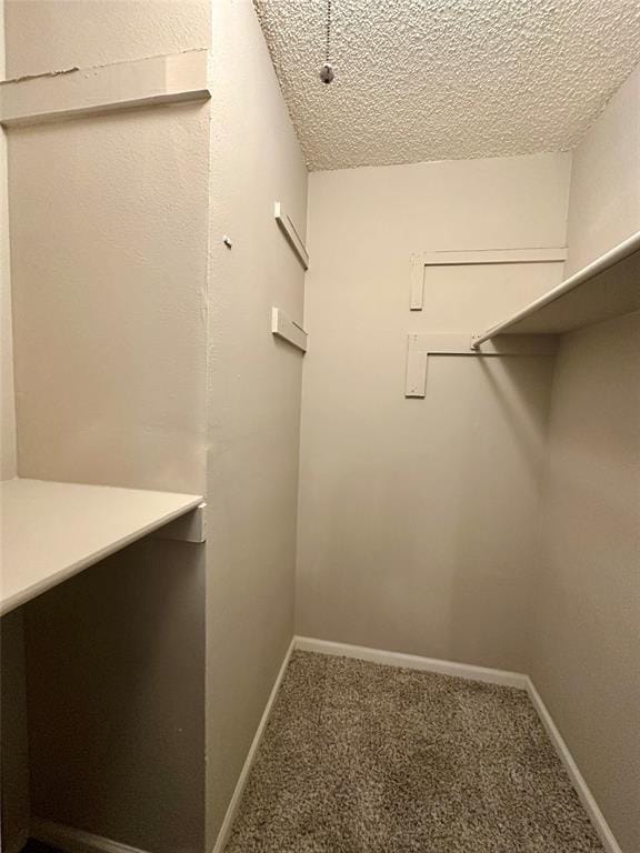 Building Photo - 3610 Greystone Dr