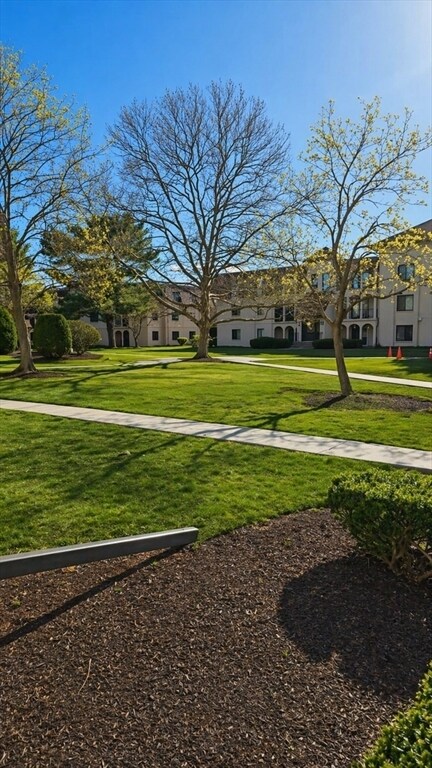 Building Photo - 685 Oak St