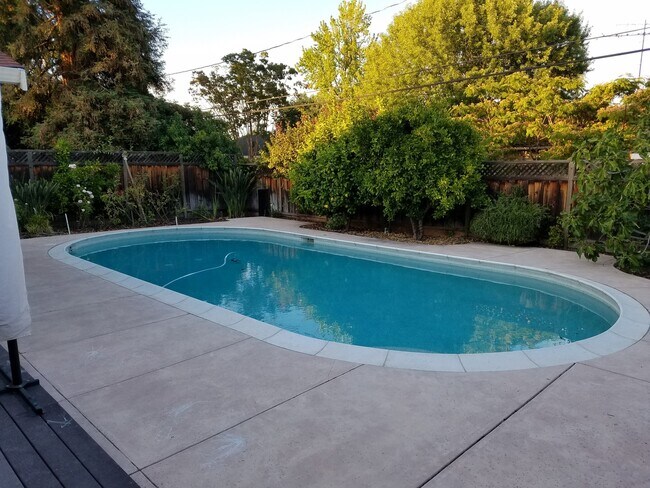 Building Photo - Elegant 4BR Retreat with Pool – Cupertino Schools, Near Apple Park
