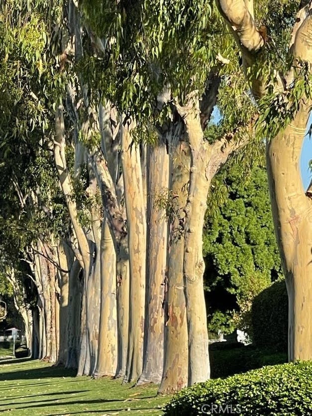 Building Photo - 3 Rushingwind