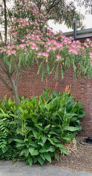 Building Photo - 49 Duke St