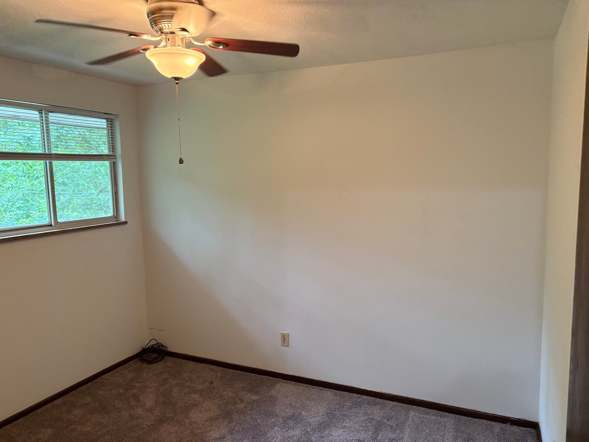 SPARE BEDROOM - 715 Pearl Dr