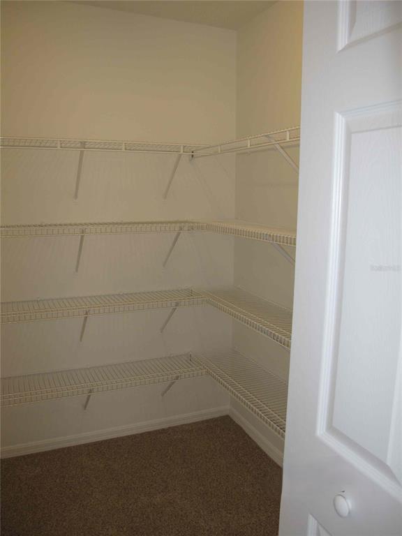 Building Photo - 10044 Canopy Tree Ct