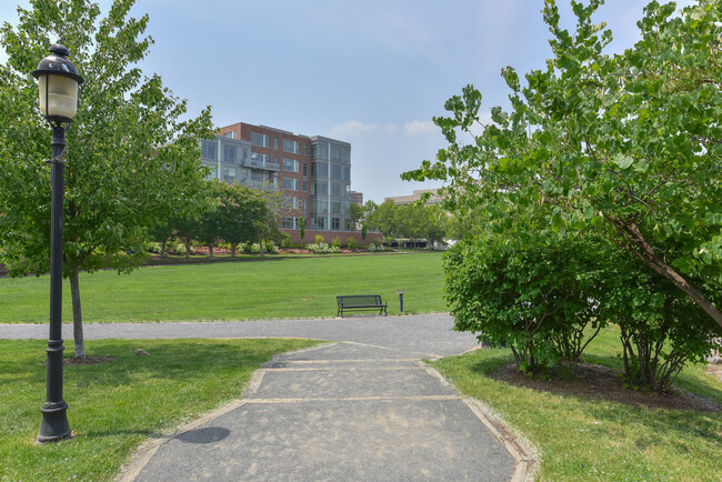 Oronoco Bay Park behind The Oronoco - 601 N Fairfax St