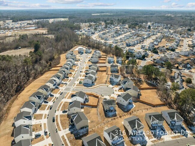 Building Photo - 316 Willard Frst Dr