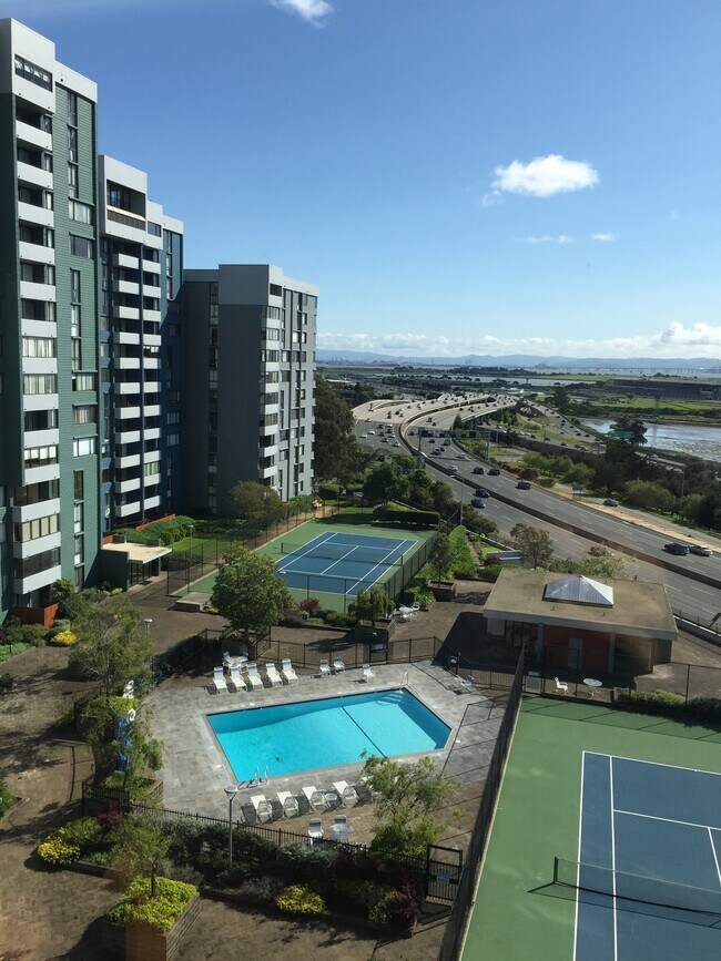 555 Pierce St 555 Pierce St Albany CA 94706 Apartment Finder