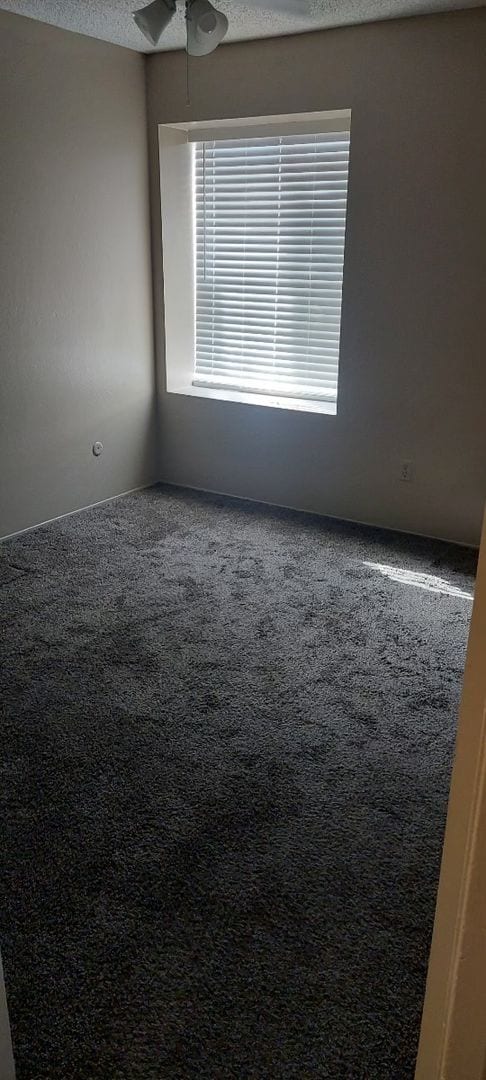 Building Photo - 2 Bed 1.5 Bathroom Condo for Rent