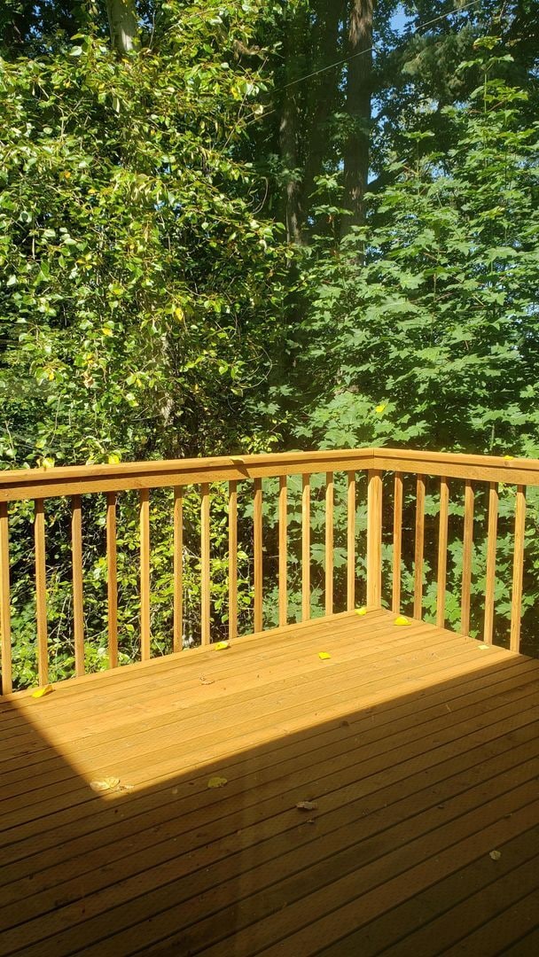 Building Photo - Pre-Leasing for August - 6Bed/3Bath House