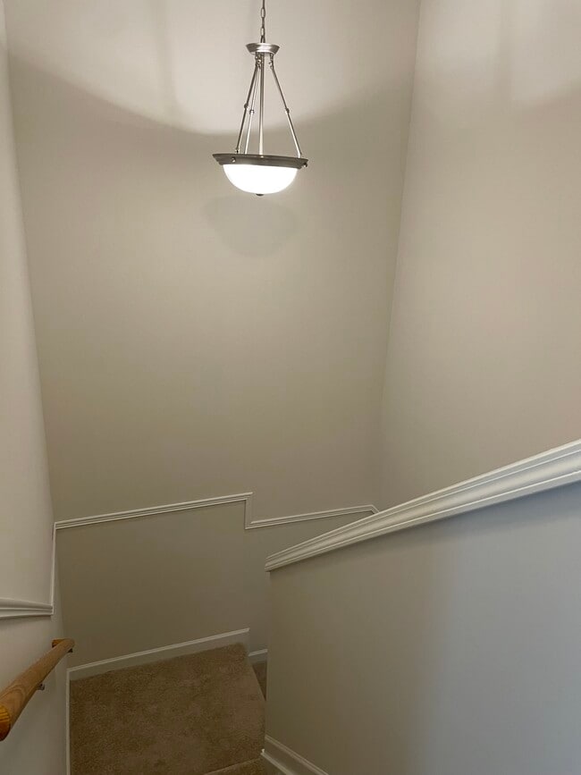 Building Photo - 311 Sandy Spring Ln