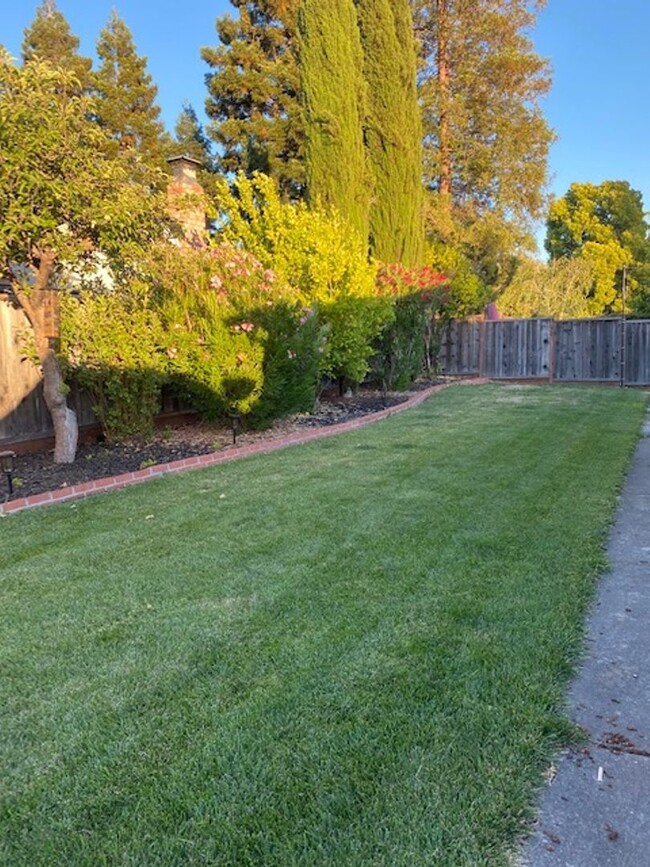 Building Photo - San Ramon Single Story 3 Bd/2 Ba, New Pain...