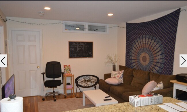 Building Photo - 62 Egmont St