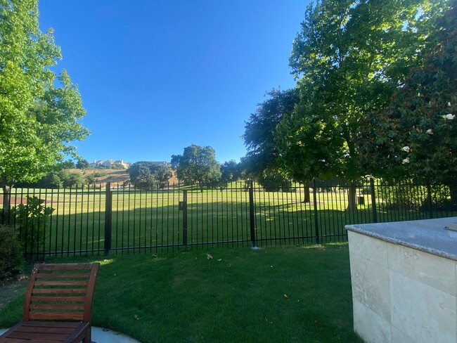 Building Photo - Pleasanton Ruby Hill, French Estate 5 Br.,...