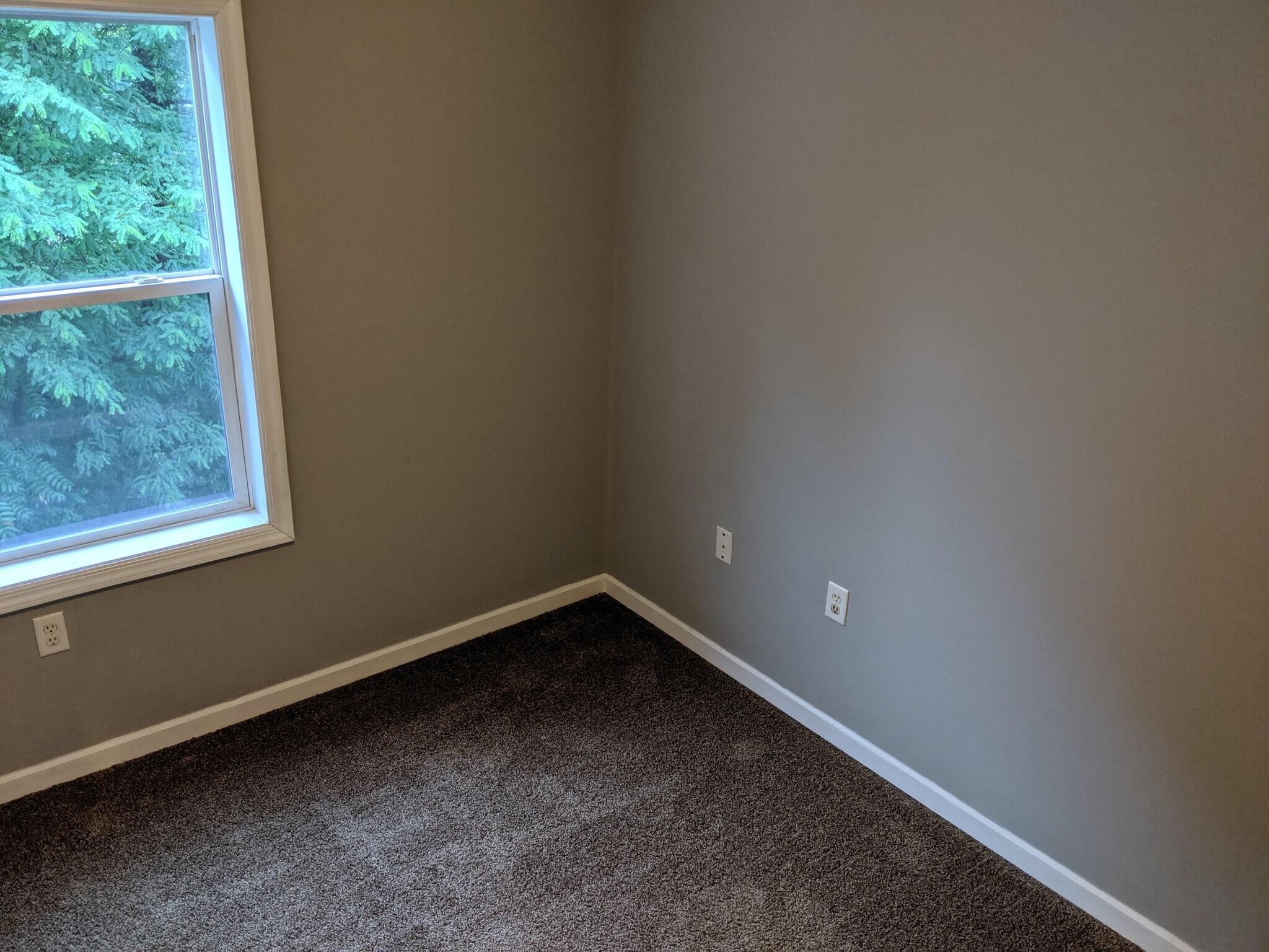 Building Photo - 357 Braeside Ave