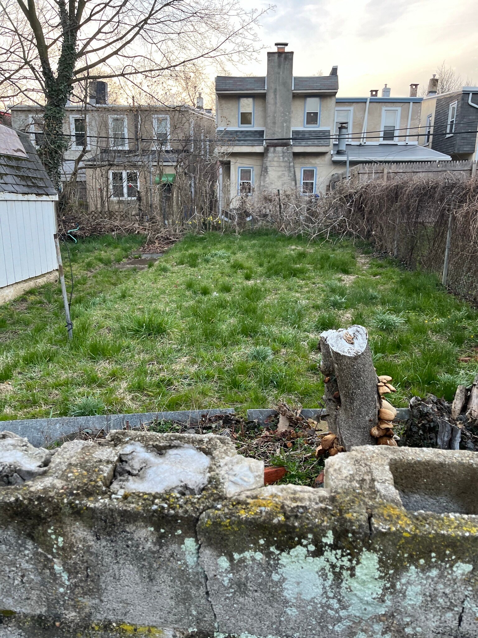 backyard - 263 West Rittenhouse Street