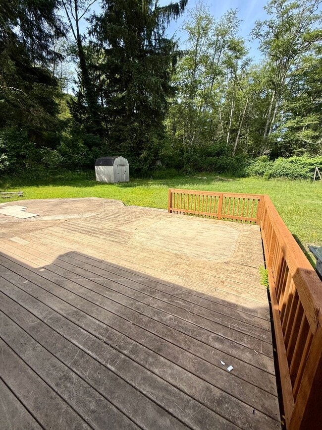 Building Photo - 3 bed 1 one bath house with yard
