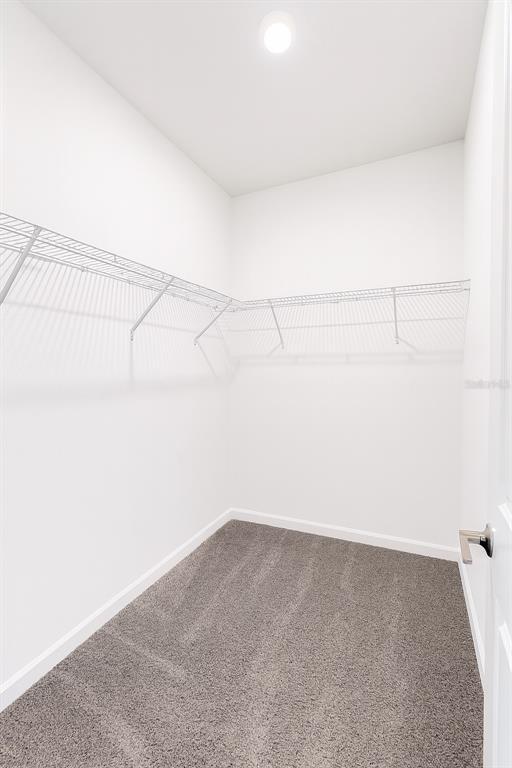 Building Photo - 2962 Camden Wy