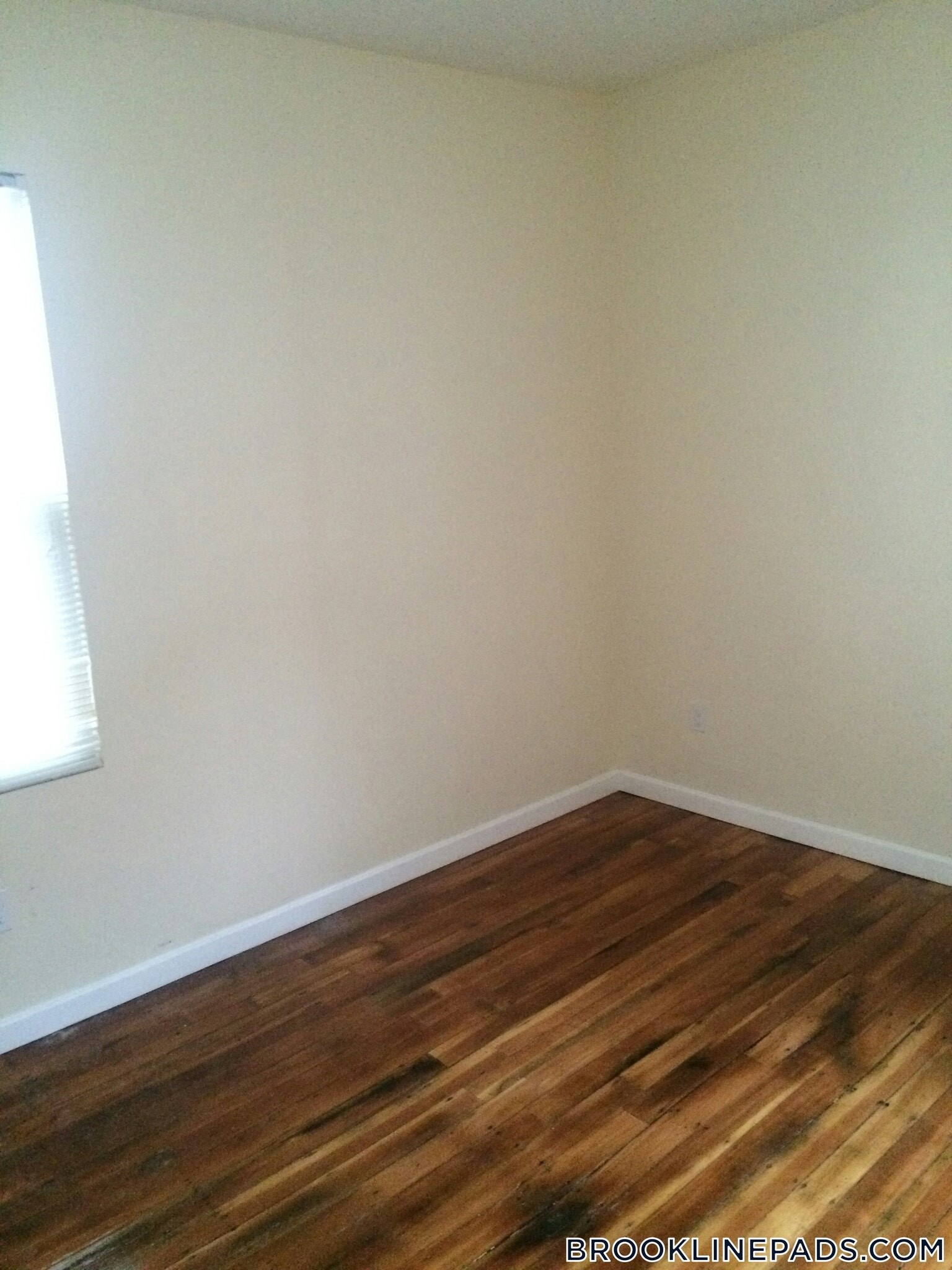 Building Photo - 5 Smythe St