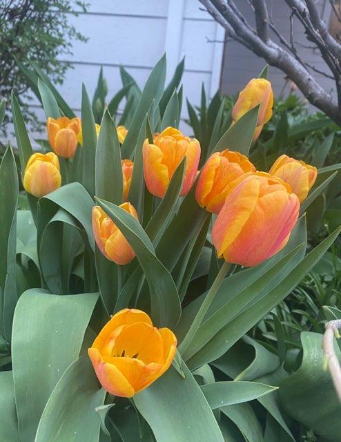 Building Photo - 110 6th St